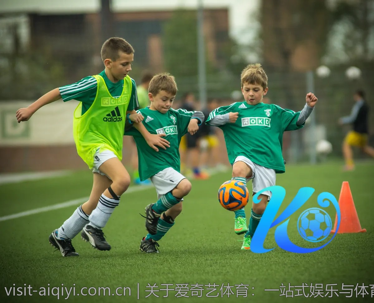 关于爱奇艺体育：一站式娱乐与体育服务平台分析